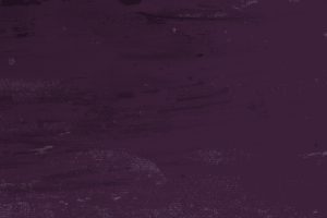 Activités  des membres- Conférences