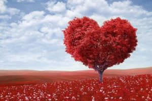 MADRID -SEMINARIO SOBRE EL TEMA DEL AÑO – 15 de noviembre de 2019 – 19 h